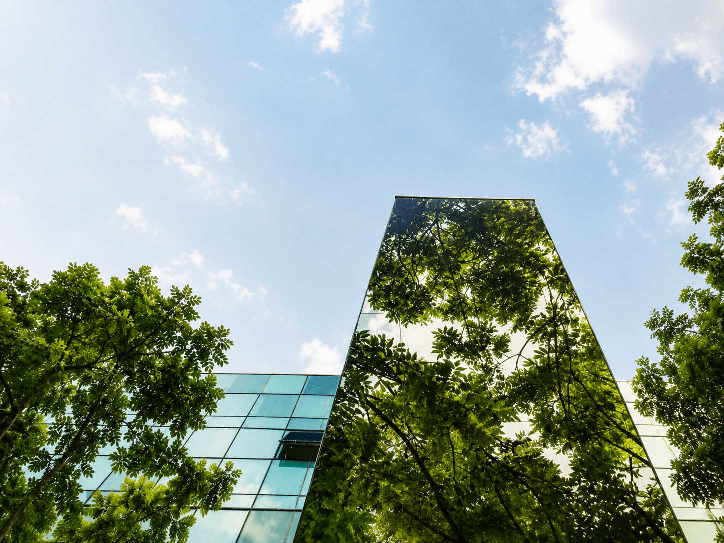 Aspect Infrastructure sustainable green infrastructure and eco engineering